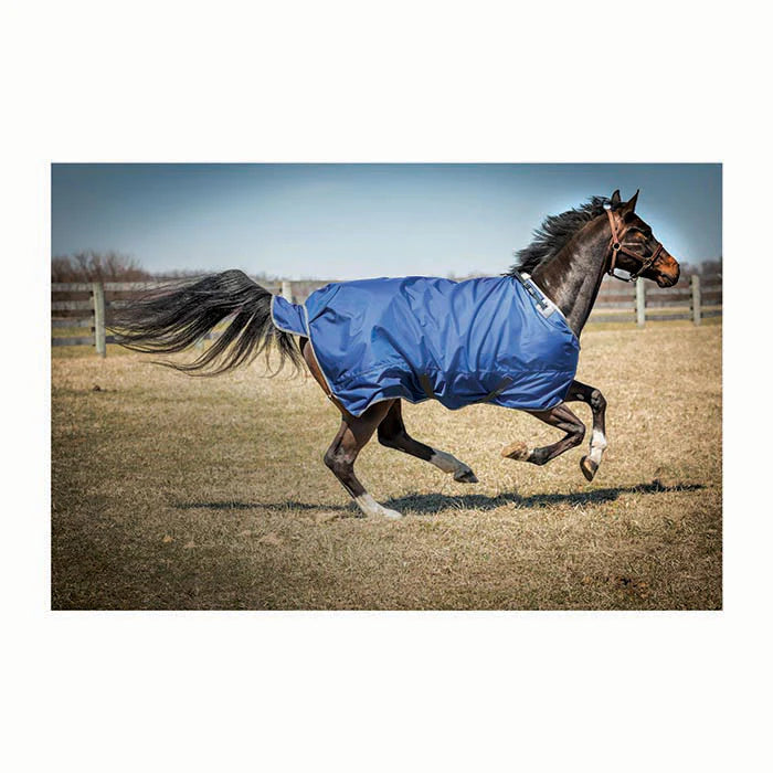 Blanketing Horses in the winter, what you need to know!